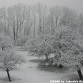 20090121 1254086331 img 2431