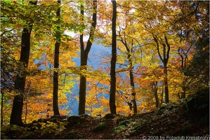 bregenzerwald4 20081018 1662855954