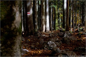 bregenzerwald8 20081018 1650622981