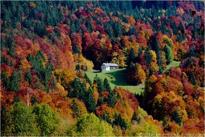 bregenzerwald10 20081018 1650614184