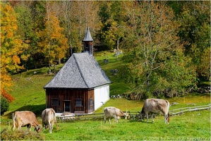 bregenzerwald12 20081018 1695640721