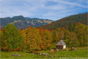 bregenzerwald11 20081018 1012957621