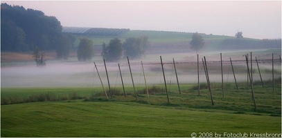 hinterland kressbronn7 20080928 1120604357