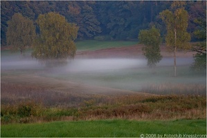 hinterland kressbronn8 20080928 1453279645