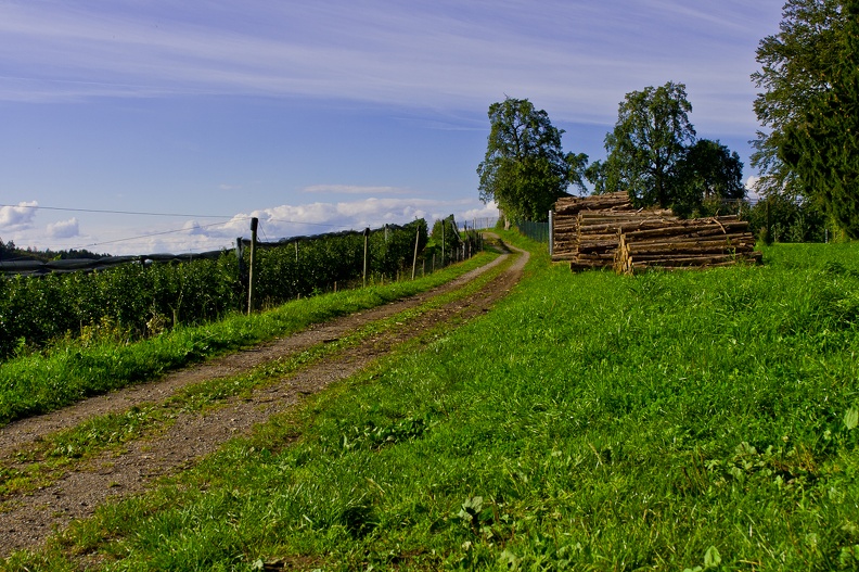 kressbronner_umgebung_17_20111010_1960385625.jpg