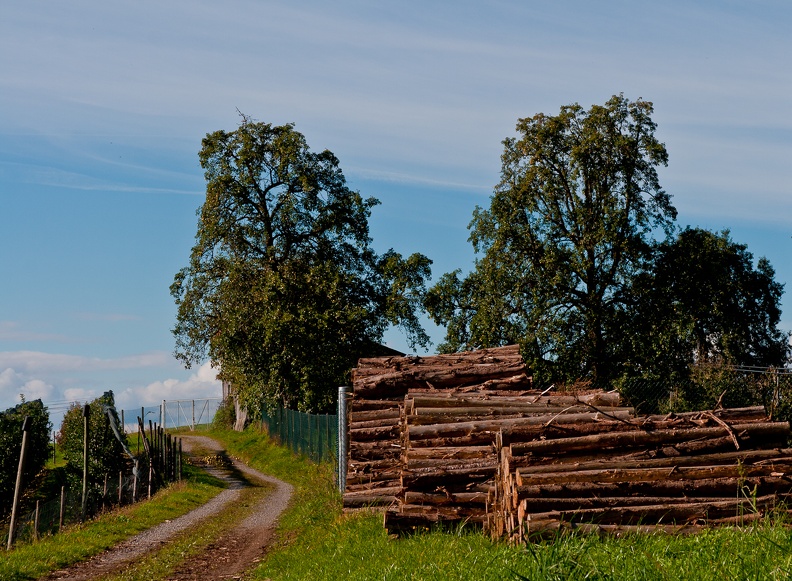 kressbronner_umgebung_18_20111010_1923548843.jpg