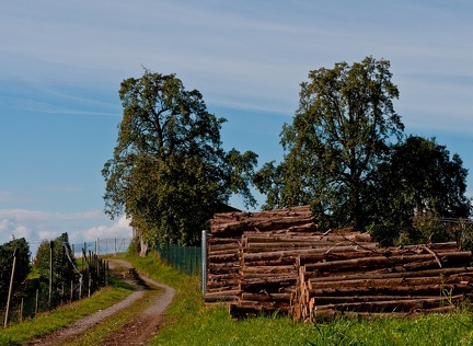 kressbronner umgebung 18 20111010 1923548843