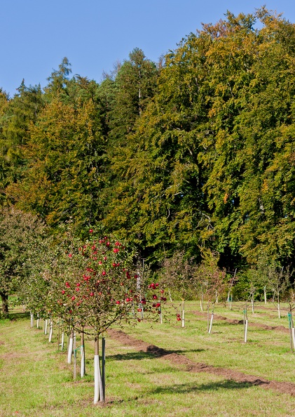 kressbronner_umgebung_20_20111010_1262872918.jpg