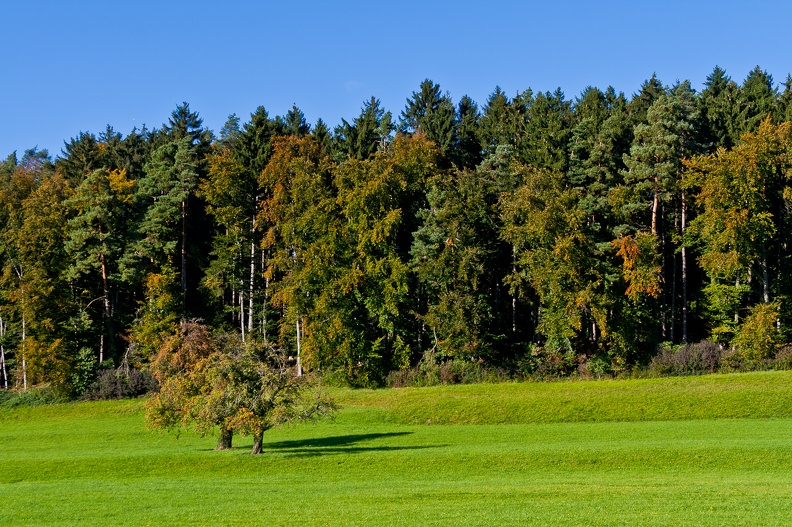 kressbronner_umgebung_22_20111010_1723758743.jpg