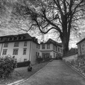 lindau insel 2 20120311 1101368140