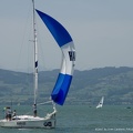 bilder vom matchrace germany in langenargen39 20080312 1397842760