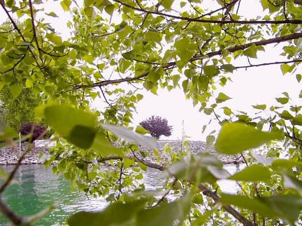 bilder vom yachthafen in gohren1 20080312 1695123414