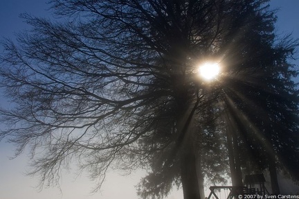 20080312 1891980958 nebel auf dem pfaender