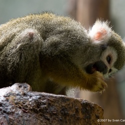 Tierpark Hellabrunn