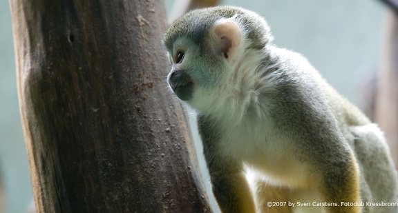 bilder vom tierpark hellabrunn2 20080312 1549337659