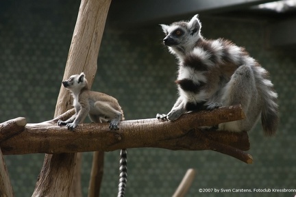 bilder vom tierpark hellabrunn3 20080312 1081318954