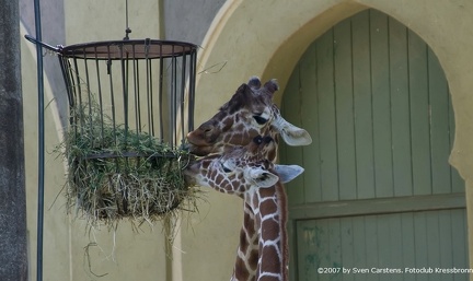 bilder vom tierpark hellabrunn4 20080312 1642529252