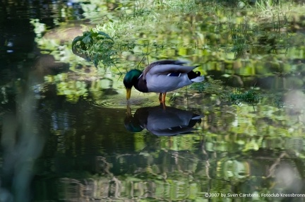 bilder vom tierpark hellabrunn14 20080312 1150001739