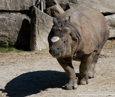 bilder vom tierpark hellabrunn13 20080312 1529238438