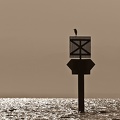 fischreiher 1 20120301 1942594519