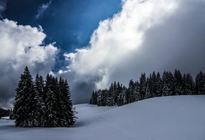 pfaender-