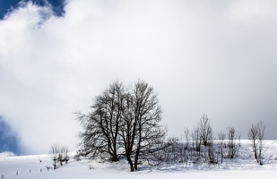 pfaender-0304