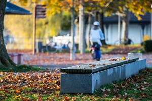 landungssteg-kressbronn-03-11-14-9856