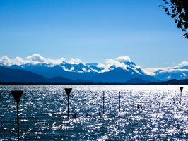 IMG 0852-1