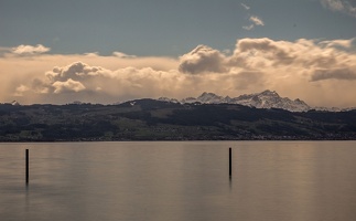 IMG 4459