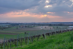 degersee-5524