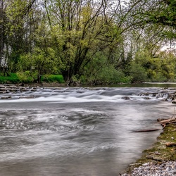 Eriskirch und Argen | 12.04.2017