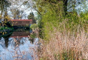 eriskirch-argen-1010504