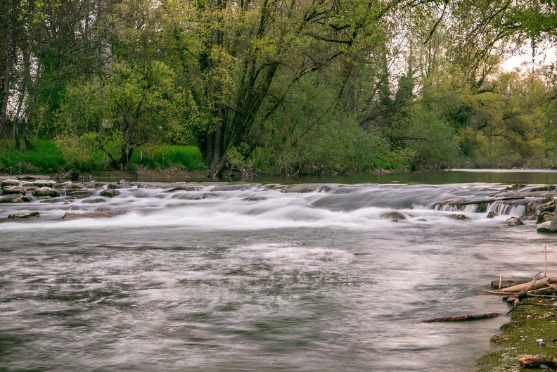 eriskirch-argen-1010522.jpg