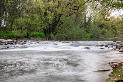 eriskirch-argen-1010525