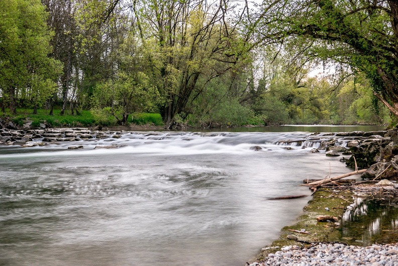 eriskirch-argen-1010526